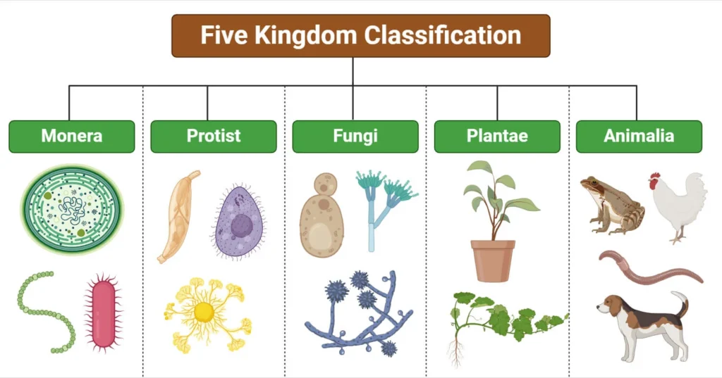 Five-Kingdom-Classification