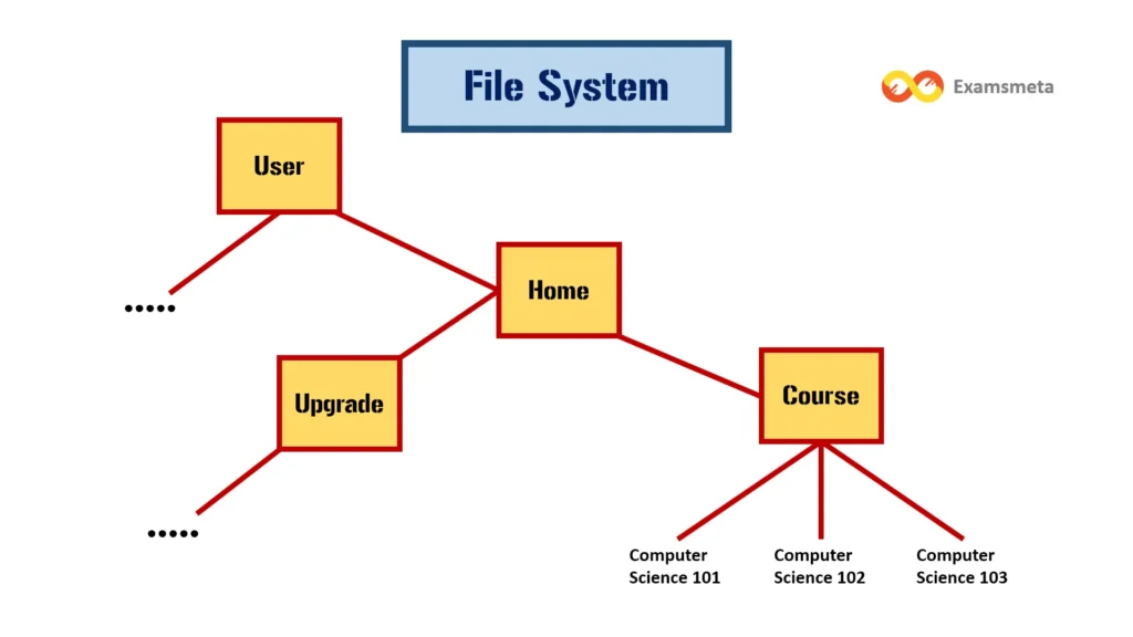 A computer's file system is a perfect example of a tree structure. Directories can contain files and subdirectories, forming a hierarchical tree where the root directory is at the top.