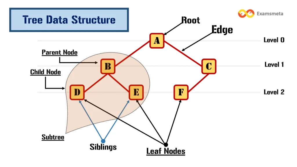 Basic Terminologies in Tree Data Structure