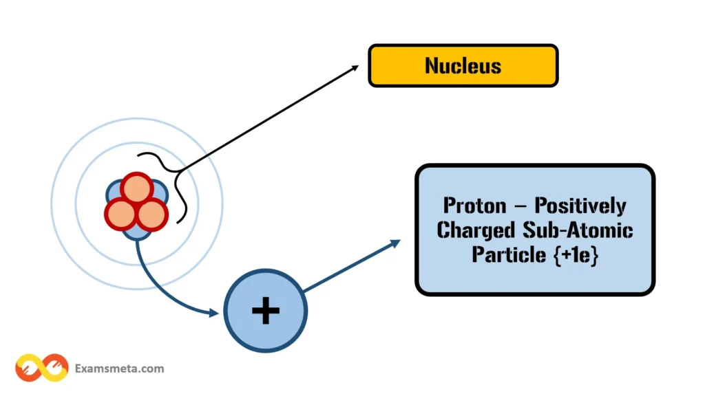 Protons The Positive Charge