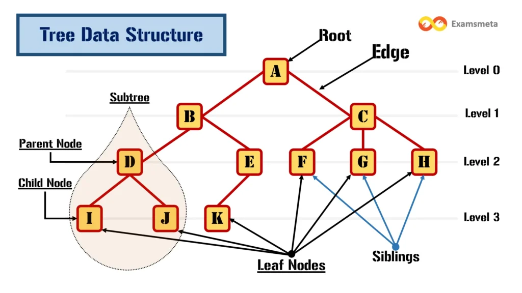 Tree Data Structures Definitions, Types, Applications, & Comprehensive Exploration